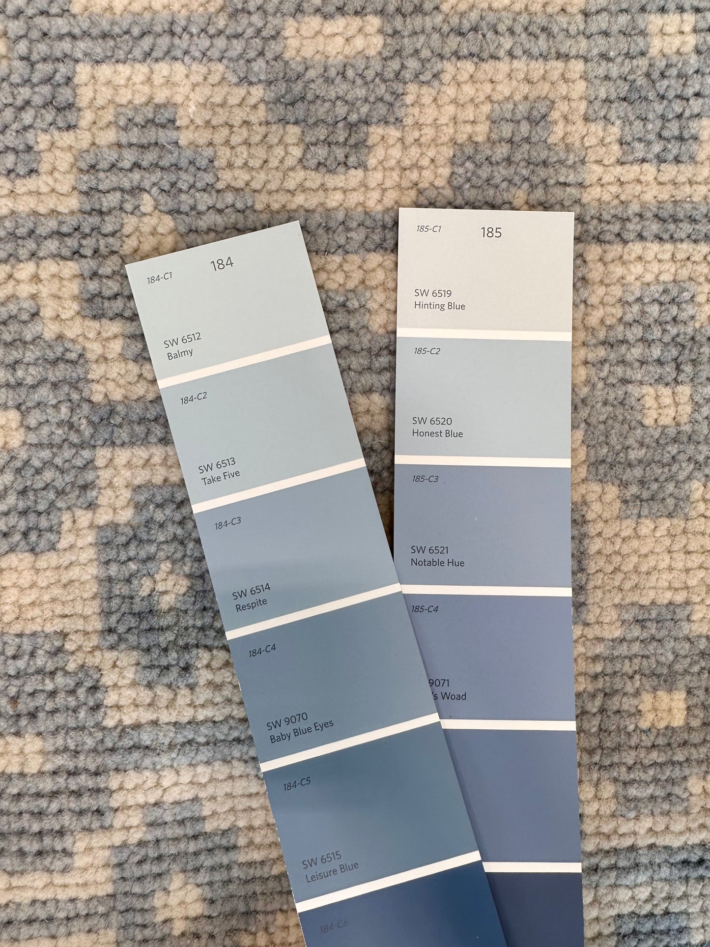 Ella Modern Oushak (In Stock)