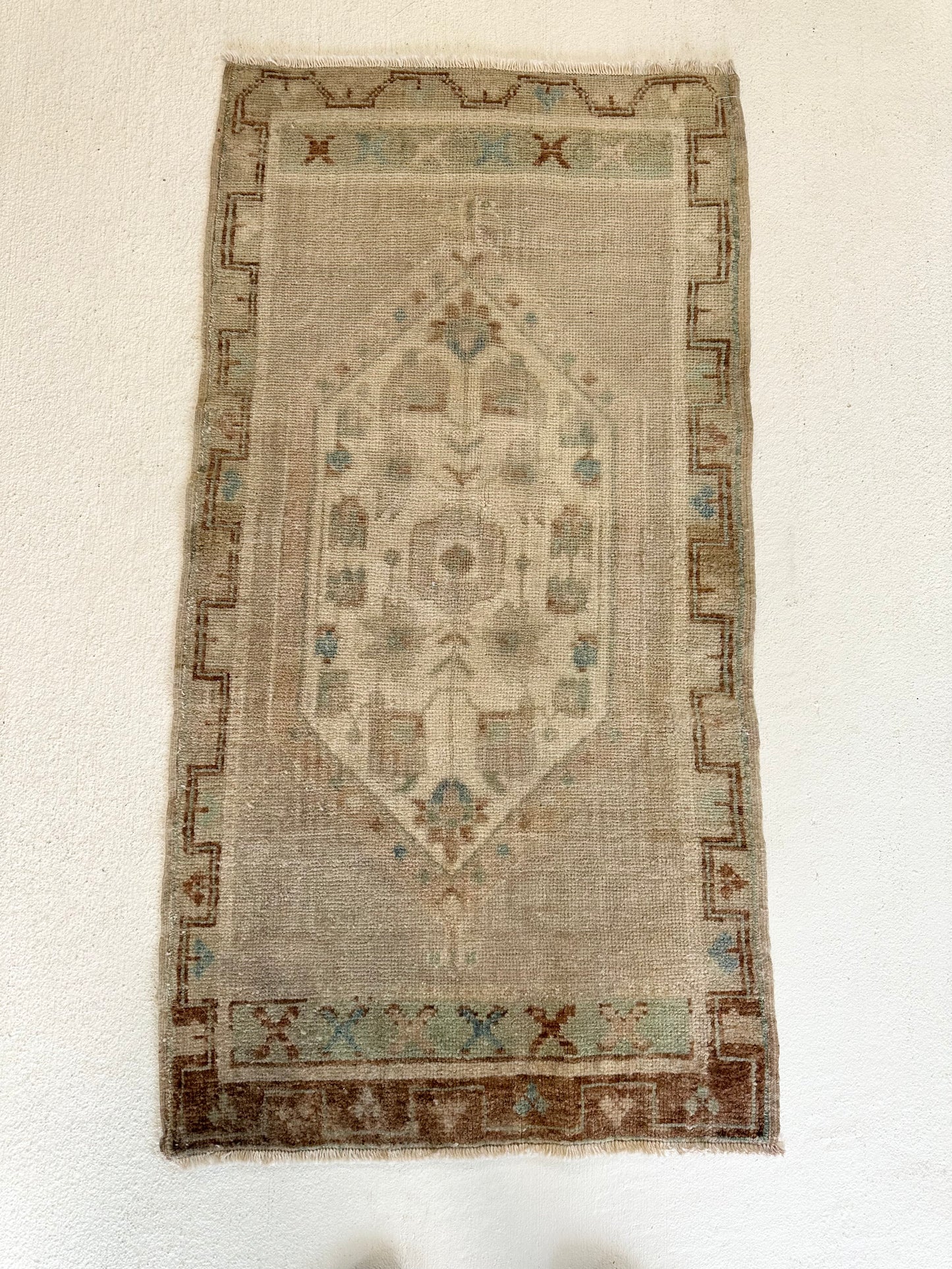 XL Mini 53