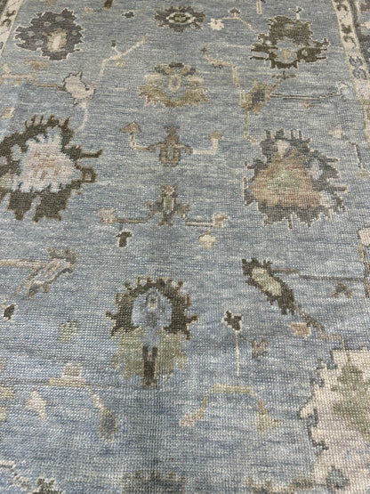 Josephine hand-knotted wool Turkish Oushak rug in light blue with slate gray border and earthy accents